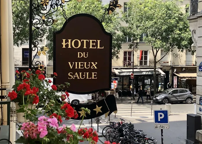 Hotel Du Vieux Saule Parigi